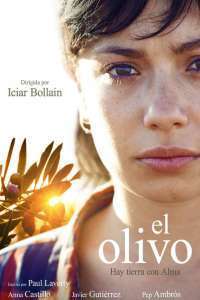 El olivo – Măslinul (2016)