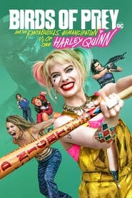 Birds of Prey: And the Fantabulous Emancipation of One Harley Quinn (2020) – Păsări de pradă și fantastica Harley Quinn