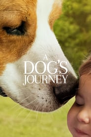 A Dog’s Journey (2019) – Câinele, adevăratul meu prieten 2