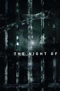 The Night Of – În acea noapte (2016) – Miniserie TV