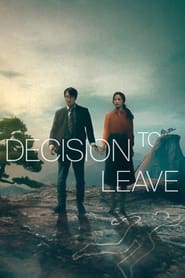Decision to Leave (2022) - Heojil kyolshim