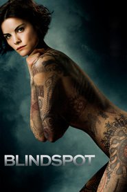 Blindspot (2015) Serial TV – Sezonul 03