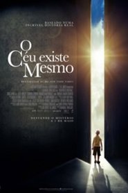 Heaven Is for Real (2014)