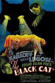 The Black Cat (1934)