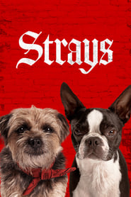 Strays (2023) – Scăpați din lesă