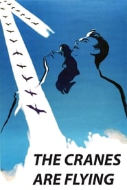 The Cranes are Flying - Zboară cocorii (1957)