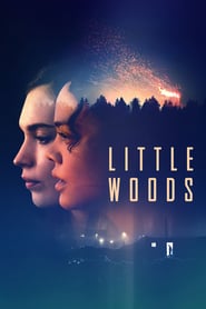 Little Woods (2018)