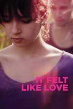 It Felt Like Love – Iubire înşelătoare (2013)