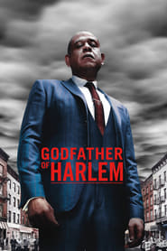 Godfather of Harlem (2019) – Serial TV