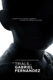 The Trials of Gabriel Fernandez (2020) – Miniserie TV