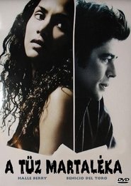 Things We Lost in the Fire - Pierderi dureroase (2007)