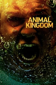 Animal Kingdom (2016) – Serial TV – Împărăția fiarelor – Sezonul 2